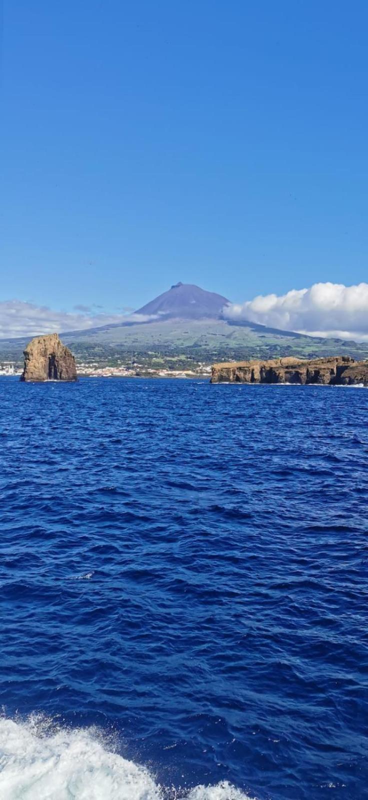 Azores Blue Bay Madalena  Dış mekan fotoğraf